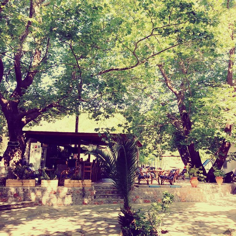 Hotel Zachos Troulos Buitenkant foto